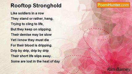 Kim Barney - Rooftop Stronghold