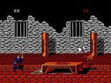 Robin Hood : Prince of Thieves online multiplayer - nes