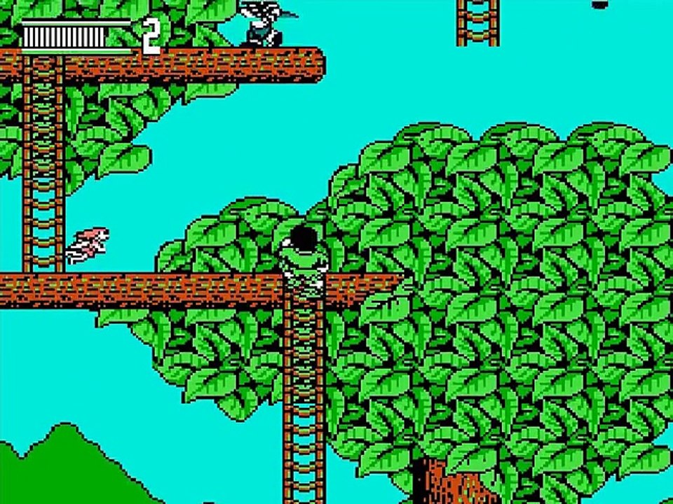 Hook online multiplayer - nes
