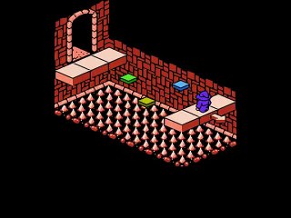 Solstice: The Quest for the Staff of Demnos online multiplayer - nes