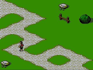 Bill & Ted's Excellent Video Game Adventure online multiplayer - nes