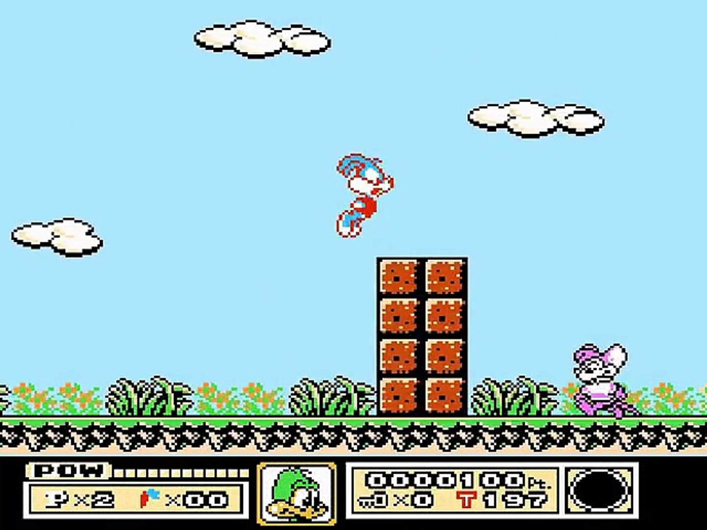 Tiny on sale toons nes