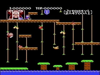 Donkey Kong Jr. online multiplayer - nes