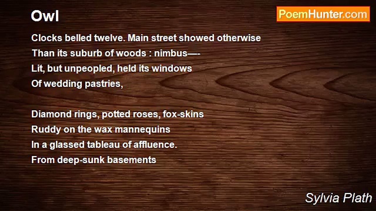 Sylvia Plath - Owl