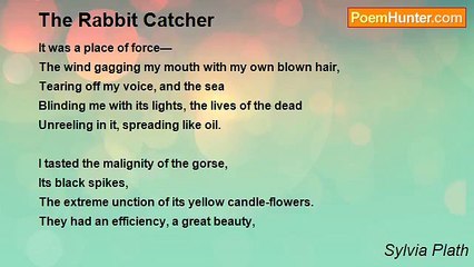 Sylvia Plath - The Rabbit Catcher