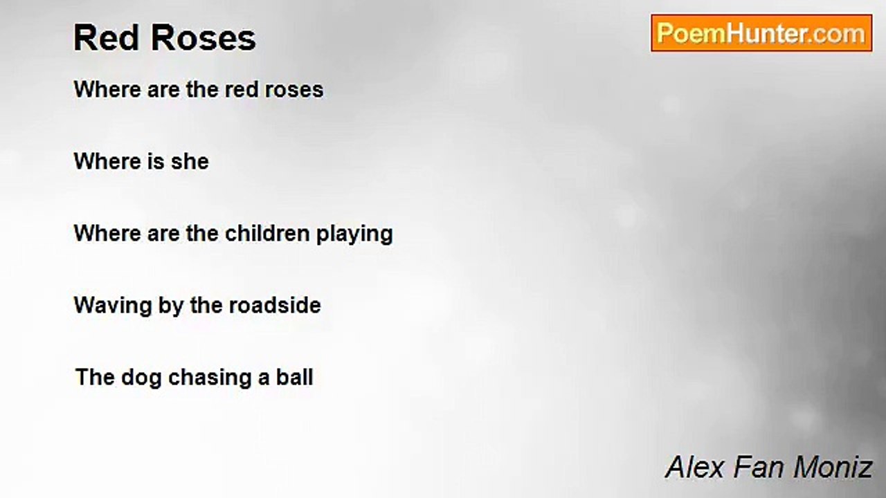 Alex Fan Moniz - Red Roses