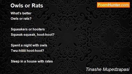 Tinashe Mupedzapasi - Owls or Rats