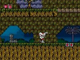 Decap Attack online multiplayer - megadrive