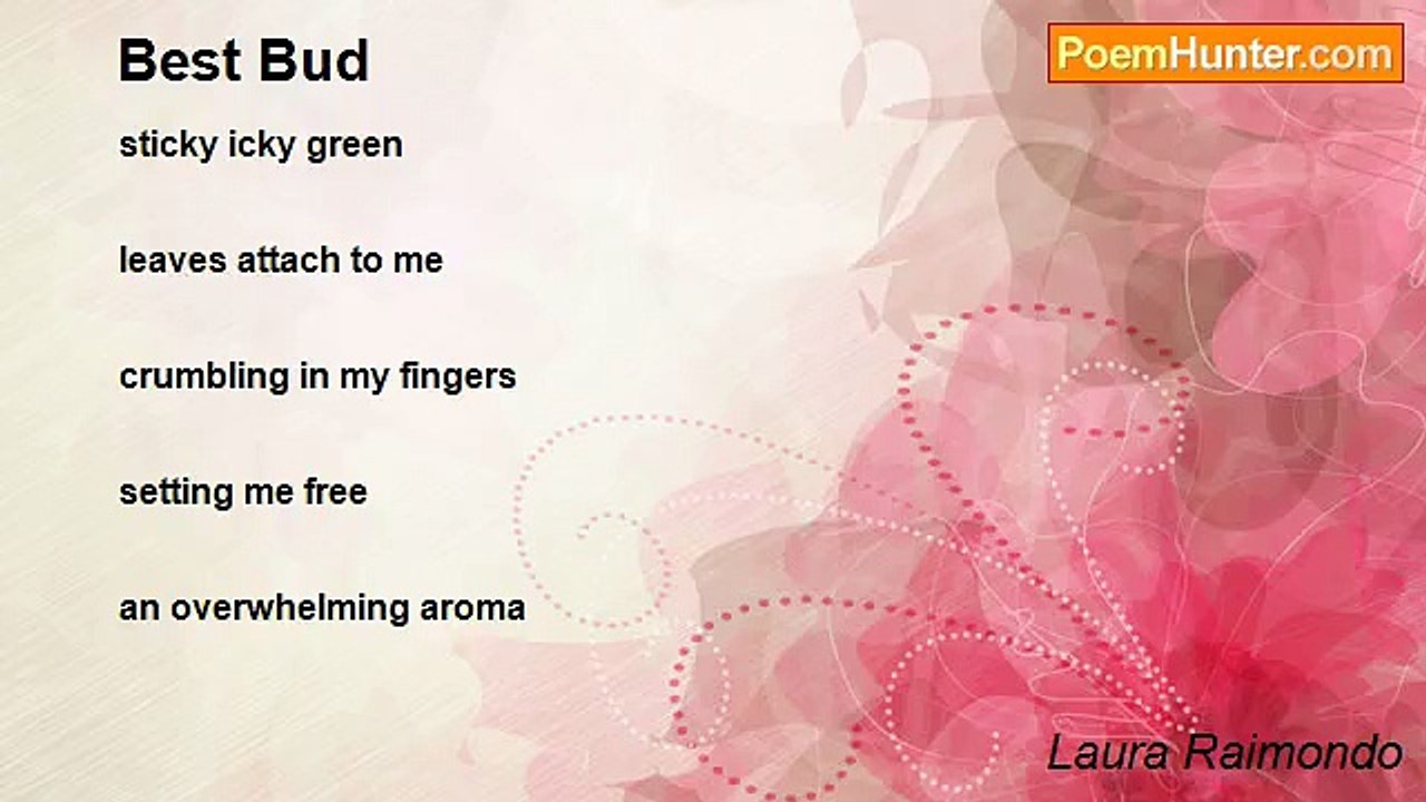 Laura Raimondo - Best Bud