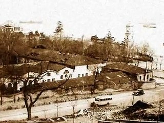 Alisimin Kaslari Kara