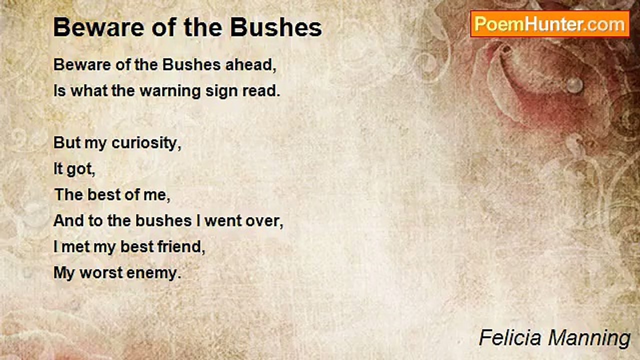 Felicia Manning - Beware of the Bushes