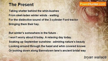 bryan wallace - The Present