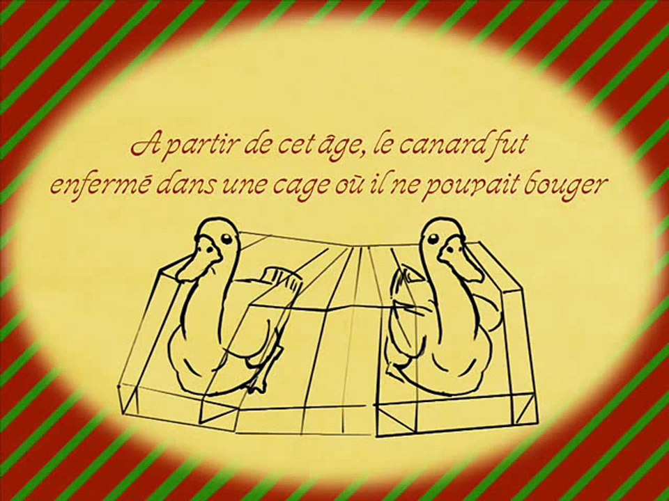 un Conte de Noël   le foie gras