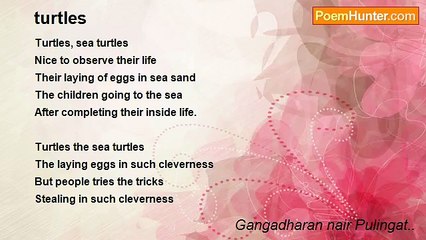 Gangadharan nair Pulingat.. - turtles