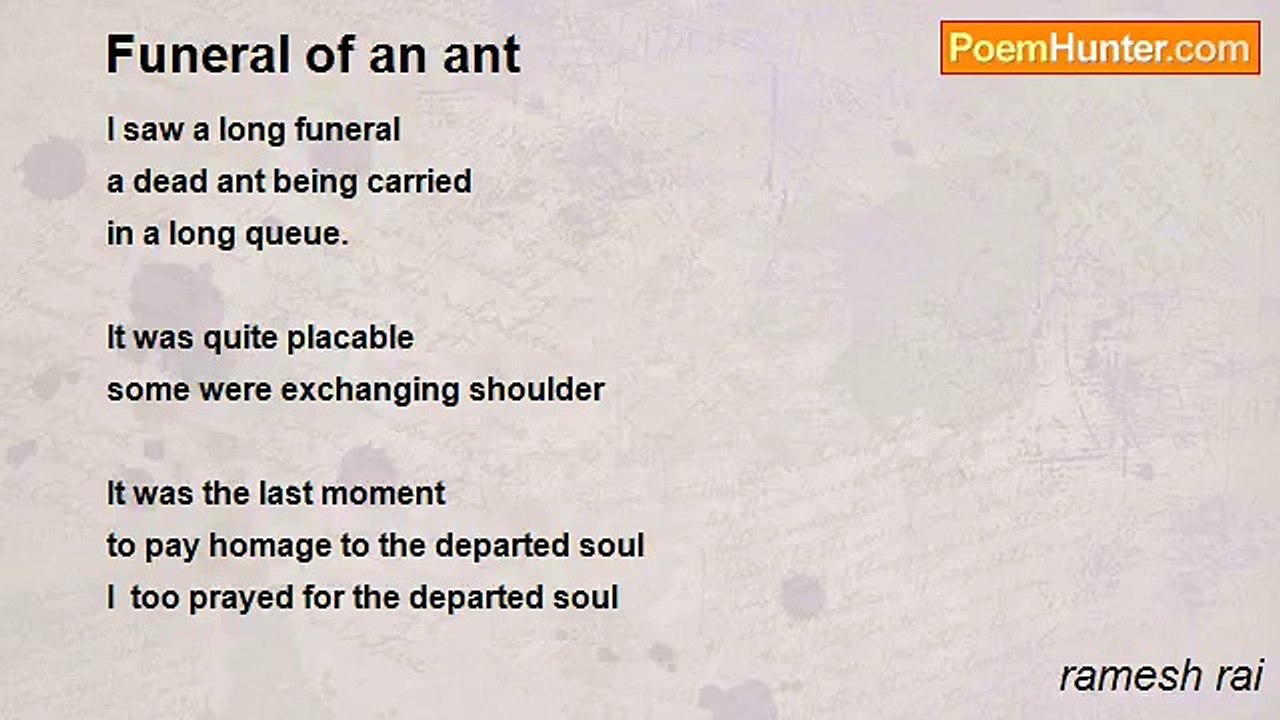 ramesh rai - Funeral of an ant