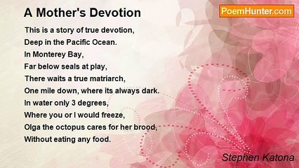 Stephen Katona - A Mother's Devotion