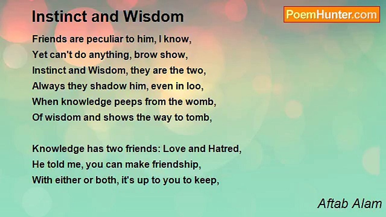 Aftab Alam - Instinct and Wisdom