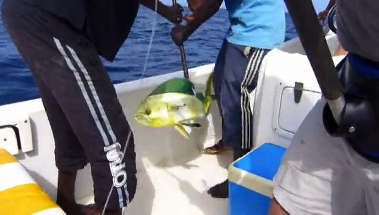 PECHE ESPADONS SENEGAL 2014