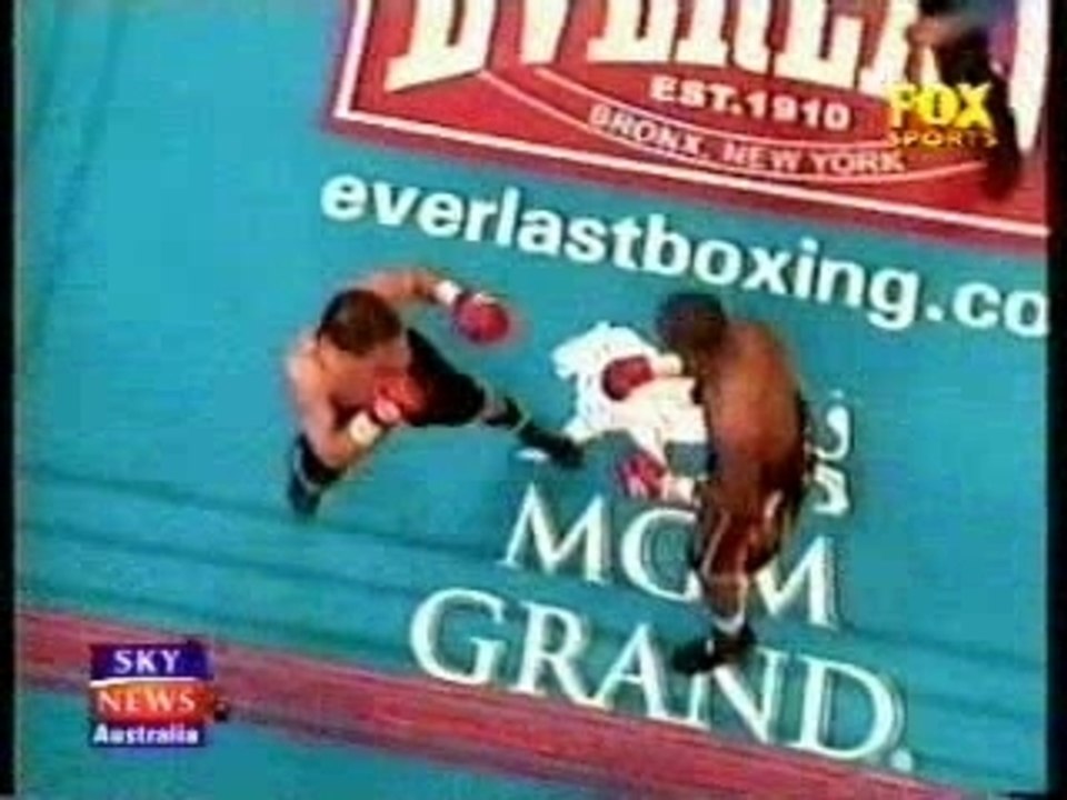 Dancing Boxer