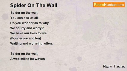 Rani Turton - Spider On The Wall