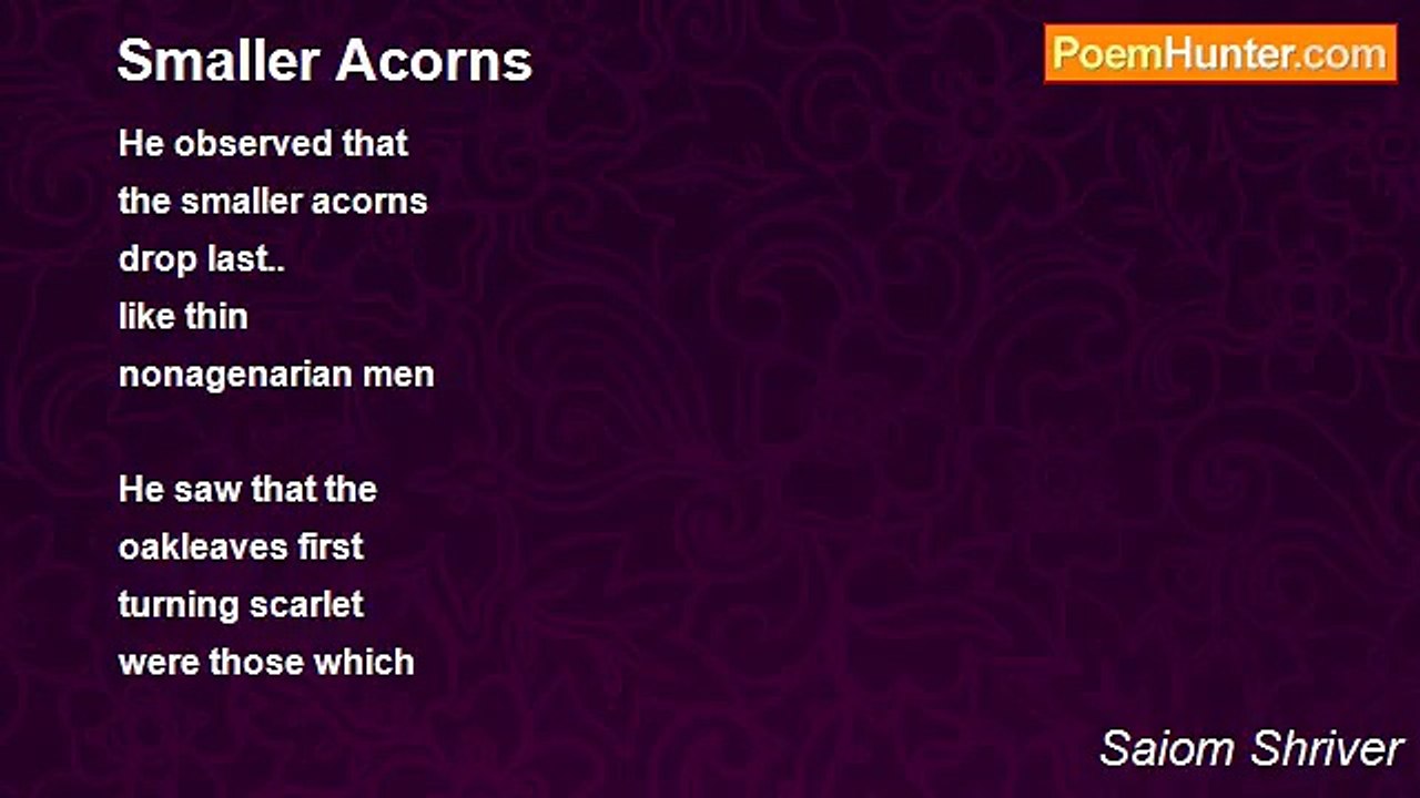 Saiom Shriver - Smaller Acorns