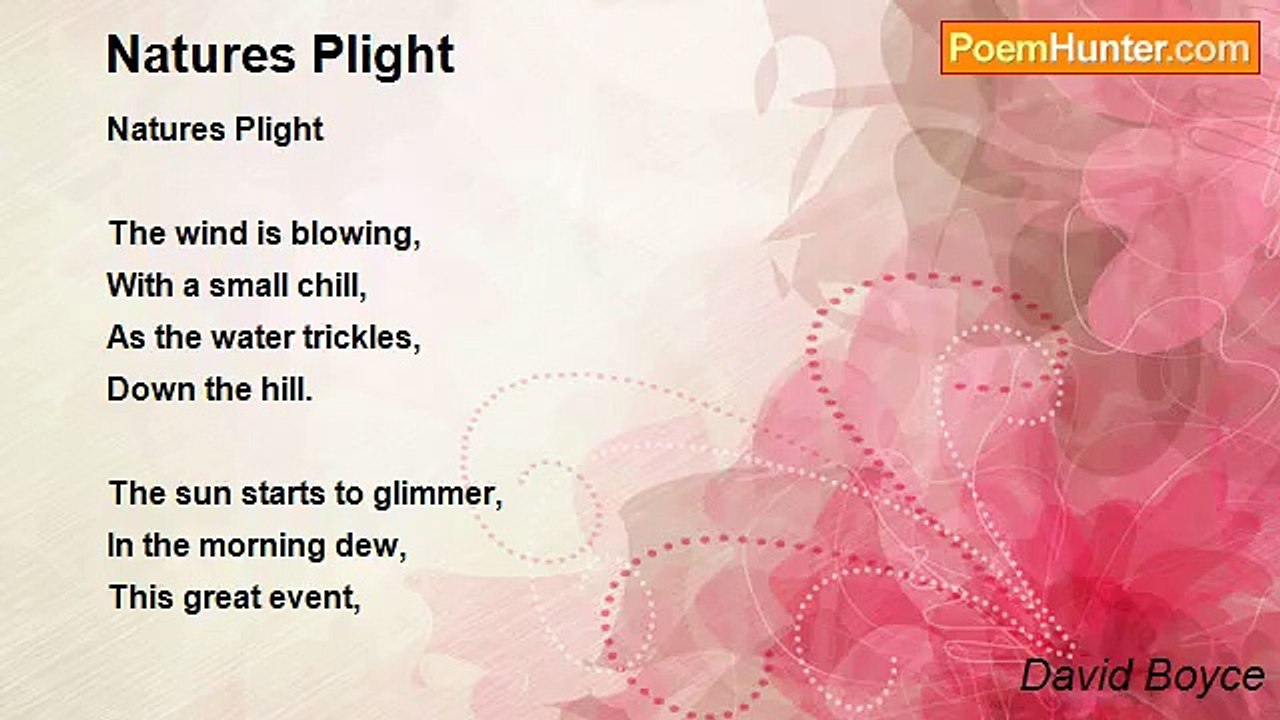 David Boyce - Natures Plight