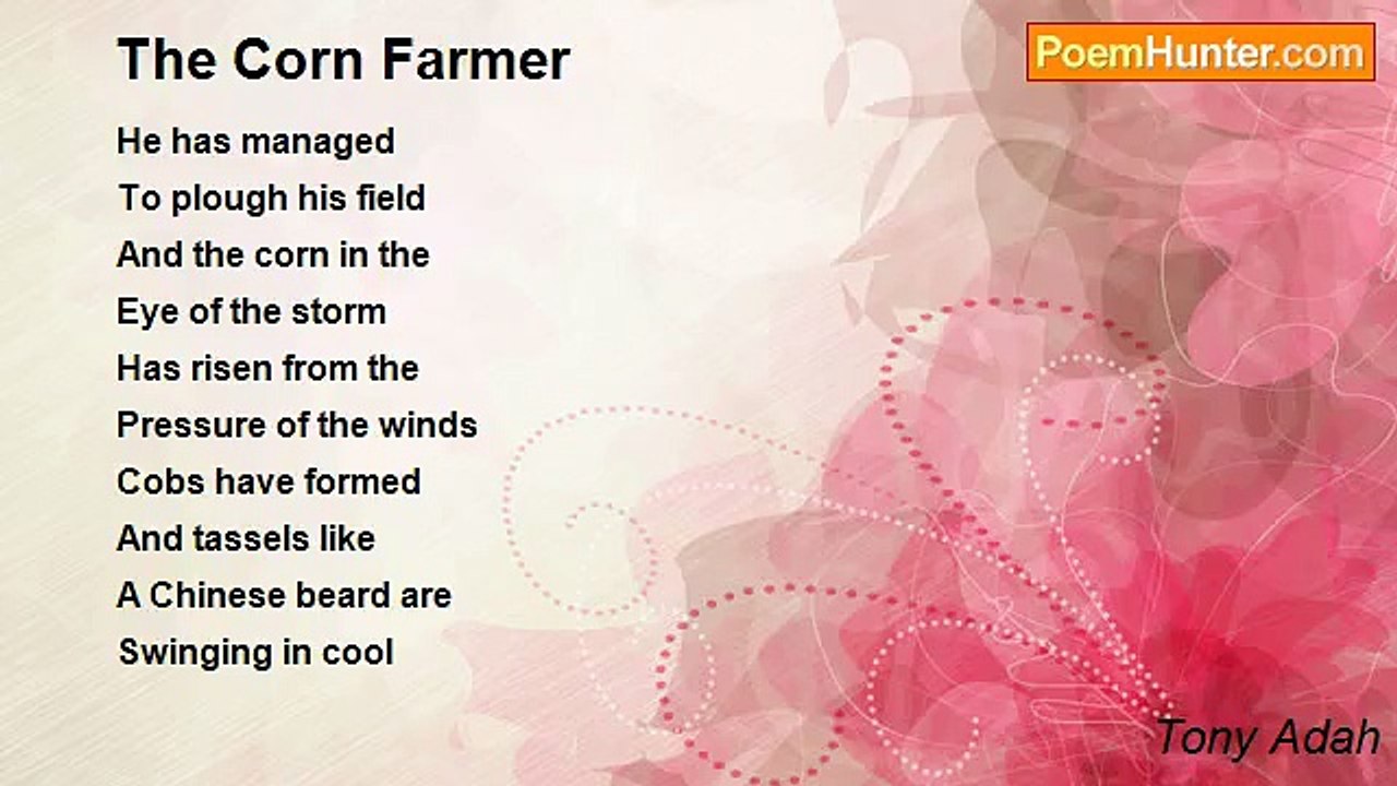 Tony Adah - The Corn Farmer