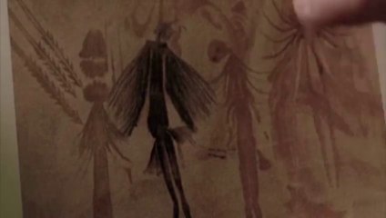 Minute Papillon ou Le Non Silence des Agneaux 4/6