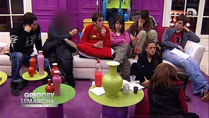 D8 - Grégory Lemarchal la fureur de vivre - 16-10-2014 00h27 48m (8317)