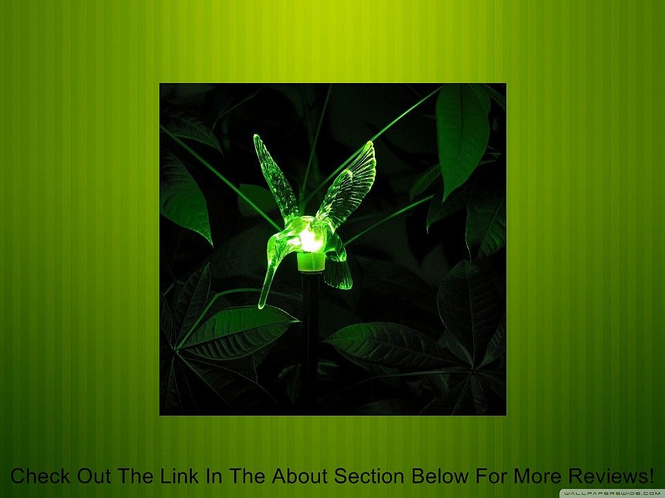 Rextin 3 pcs Decorative Solar Garden Stake LED light Lights lamp (Hummingbird,Dragonfly,Butterfly)For Garden yard Outdoor Decorative Landscape Year-round, VERY COOL