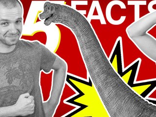 5 Dinosaur Facts You Didn't Know