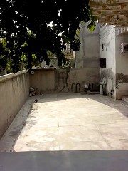 Ball Throwing Machine For Cricket ,Tenneis, BaseBall.Pakistan