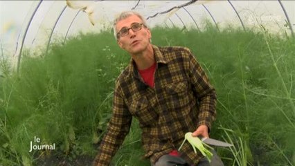 Rencontre avec un maraîcher bio (Le Poiré-sur-Vie)