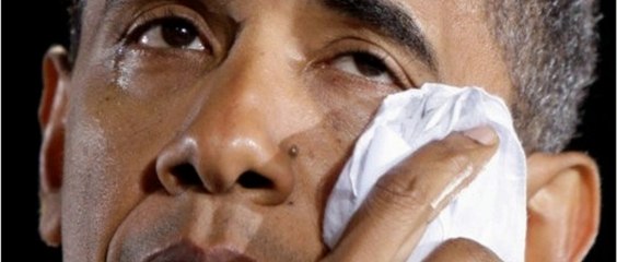 U.S. Ebola 'czar' starts work, drugmakers launch vaccine drive