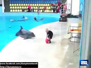 cute child playing with dolphin goes viral