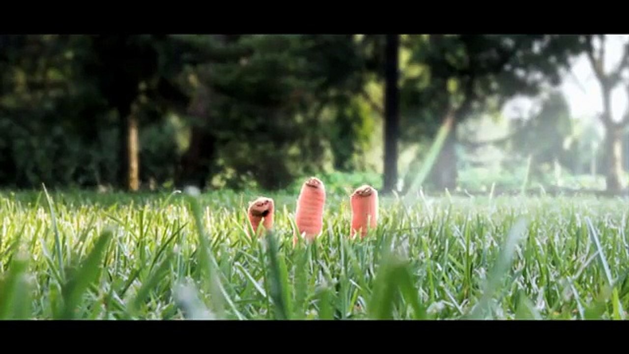 Otomobil Meraklıları