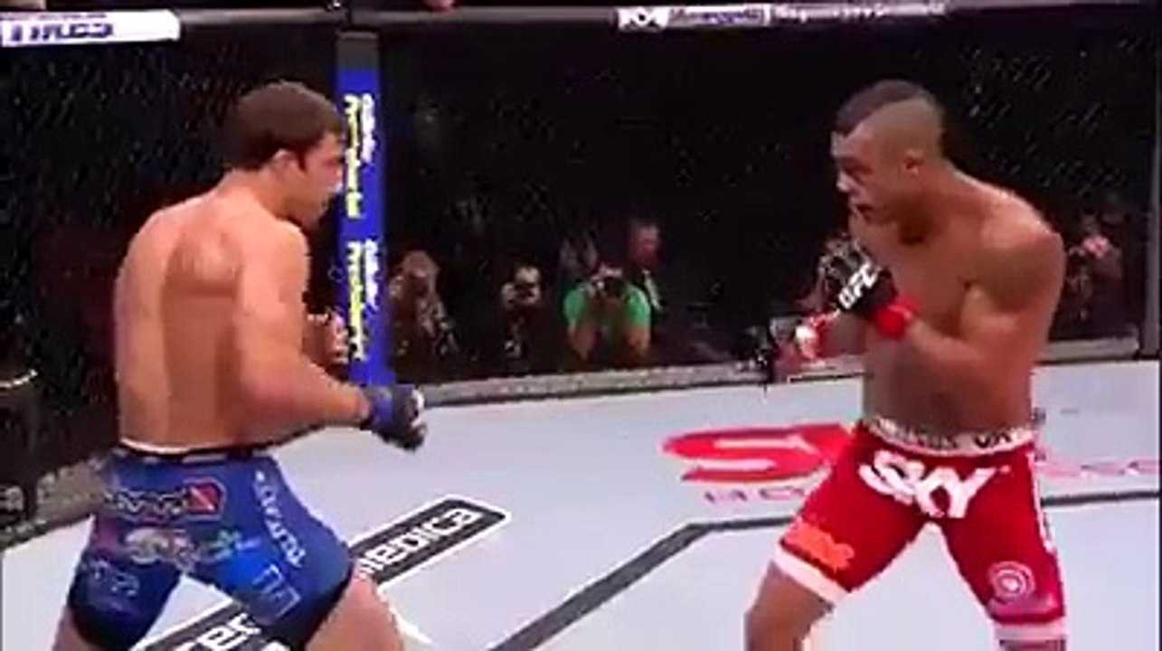 Head Kick KO compilation