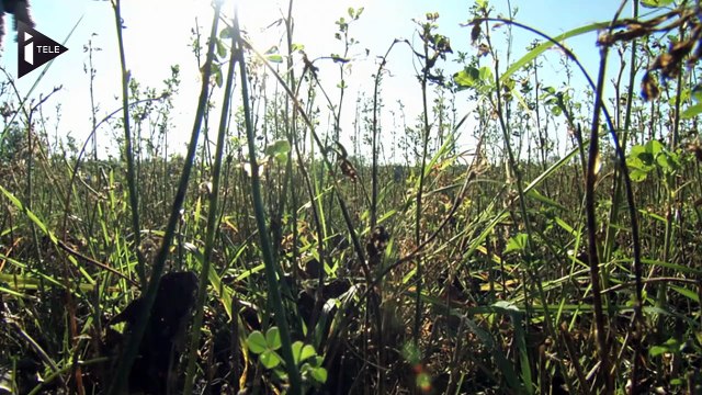 Sivens : quelle est l'utilité du barrage ?