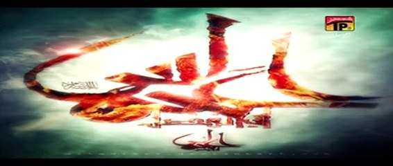 shahid baltistani 2014 (na roi zainab a.s)