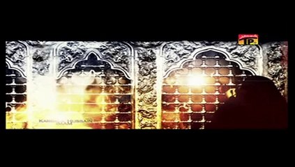 shahid baltistani 2014 (ghurbat e sakina a.s)