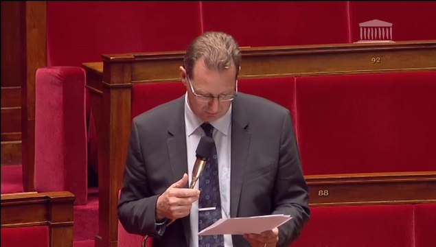 Question à Fleur Pellerin redevance Mission médias 291014