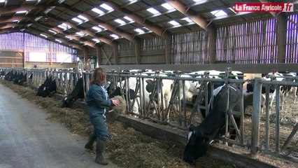 Vaches laitières : Une méthode pour détecter rapidement les cétoses