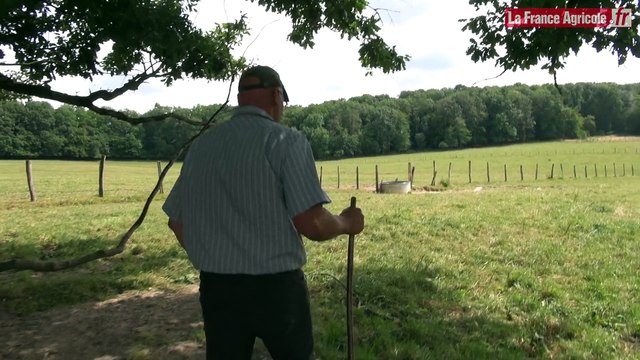 Semis direct : « Je teste le couvert permanent de luzerne »