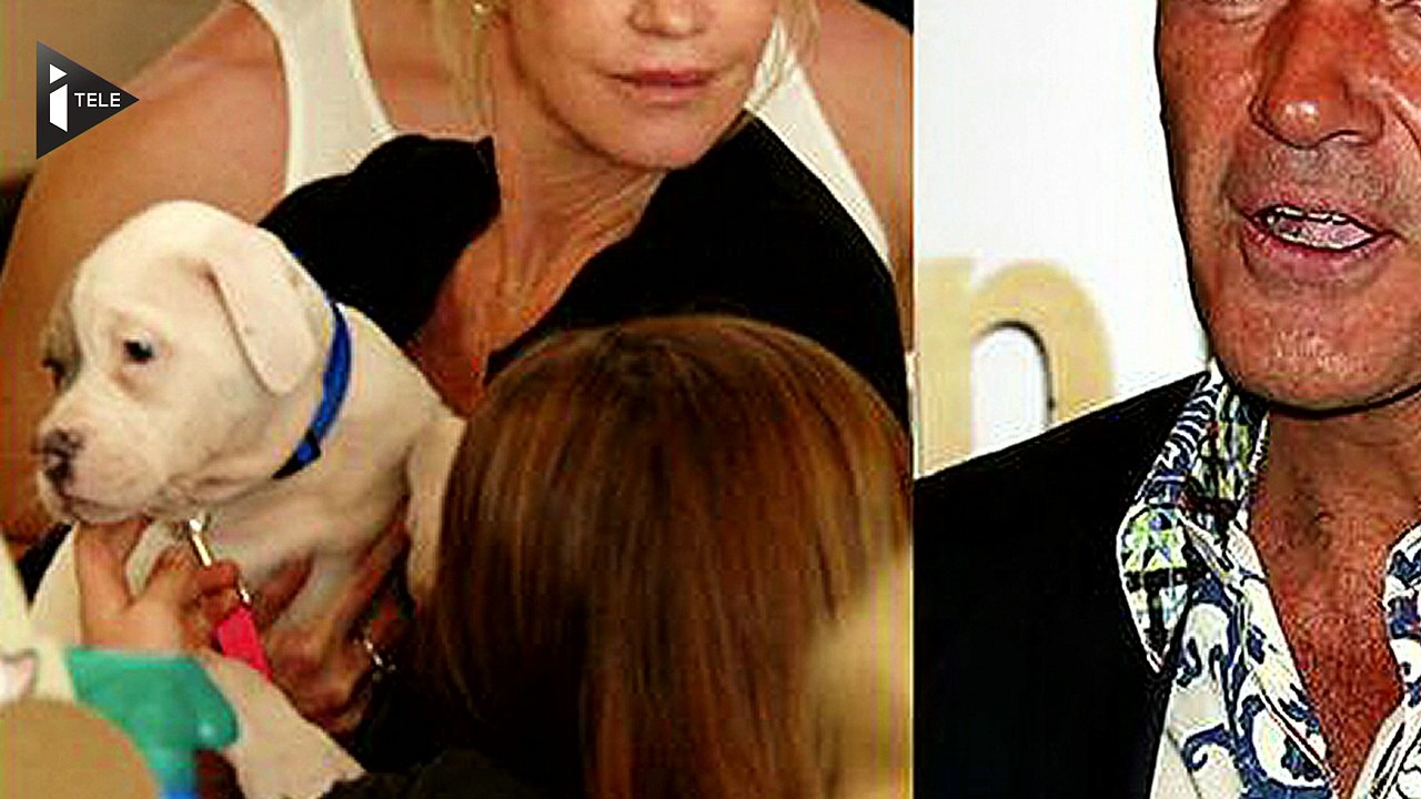 Le chien est un être vivant doué de sensibilité