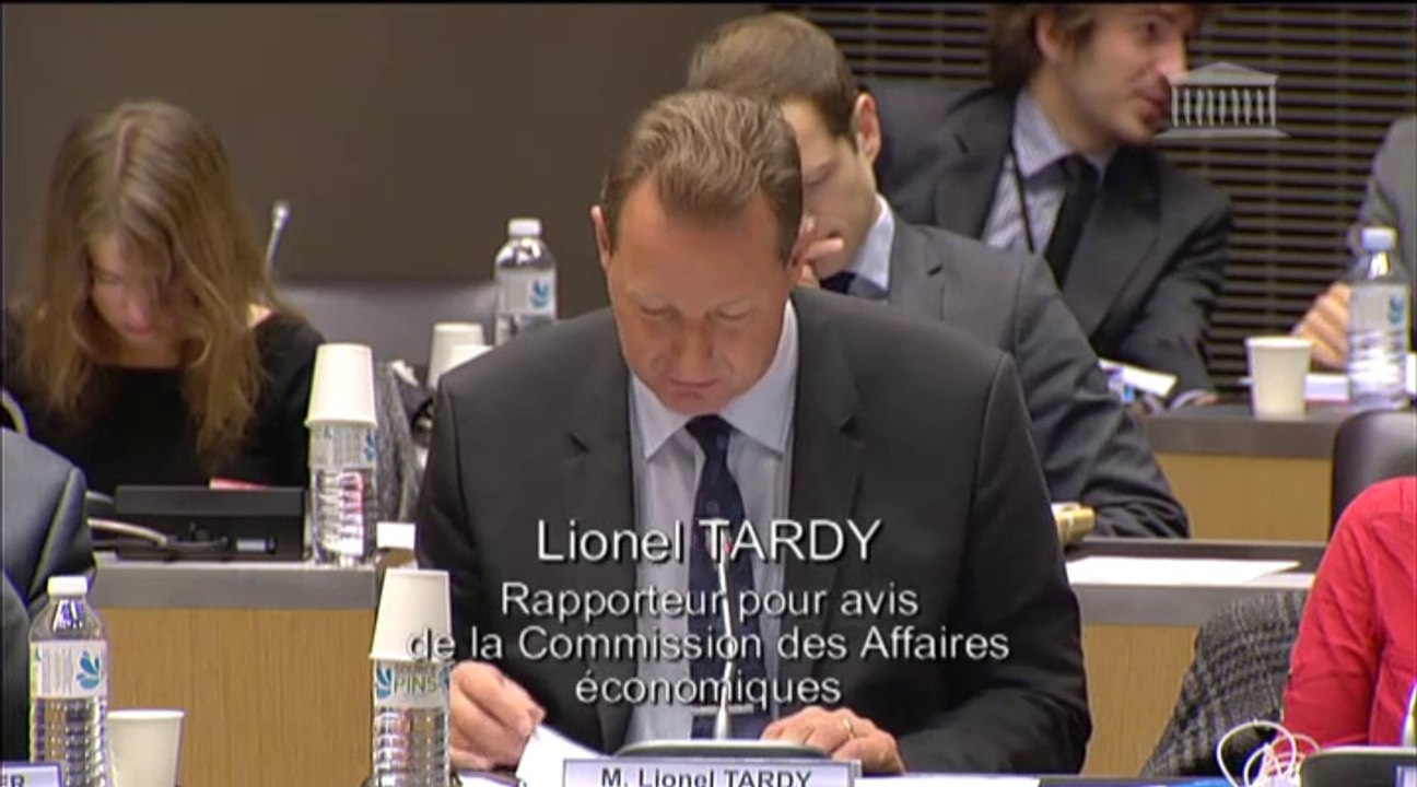 présentation rapport pour avis Entreprises PLF 2015 Economie 301014