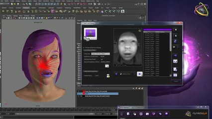 Dynamixyz' real-time facial motion capture in Unity