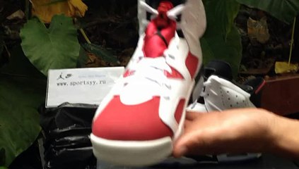 Authentic Air Jordan 6 Retro Carmine for sale at www.kicksgrid.cn
