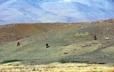 Van'da kaybolan minik Nehir'in ayakkabıları bulundu