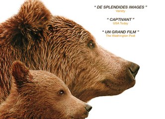 Grizzly - Bande-annonce [HD] [NoPopCorn]