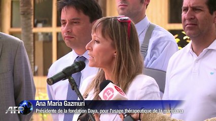 Le Chili va cultiver le cannabis à des fins thérapeutiques